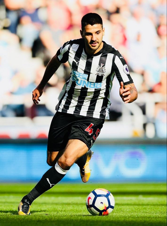 wallpaper 4k Alexander Mitrovic