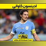 ادینسون کاوانی