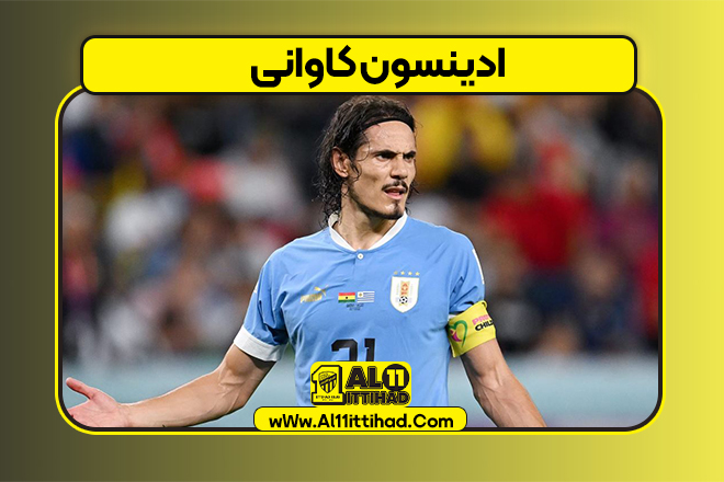 ادینسون کاوانی