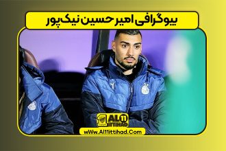 بیوگرافی امیر حسین نیک‌پور