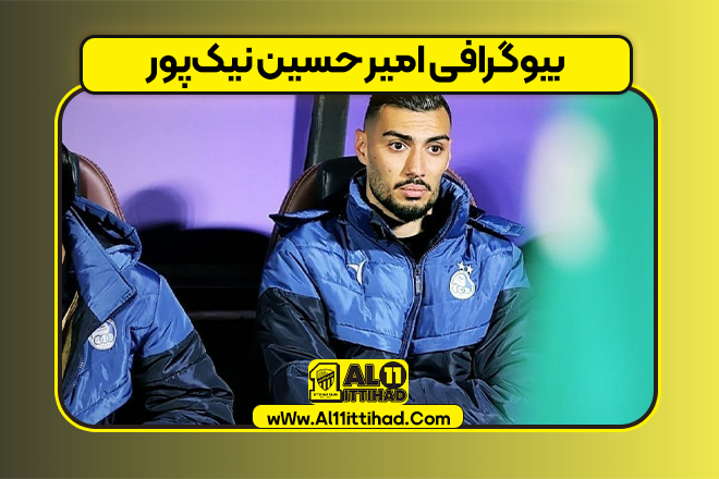 بیوگرافی امیر حسین نیک‌پور