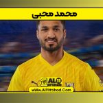 بیوگرافی محمد محبی