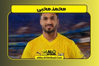 بیوگرافی محمد محبی