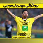بیوگرافی مهدی لیموچی